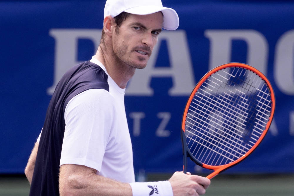 开云体育平台APP-日本网球队轻取法国网球队,穆雷绝境逆转的简单介绍