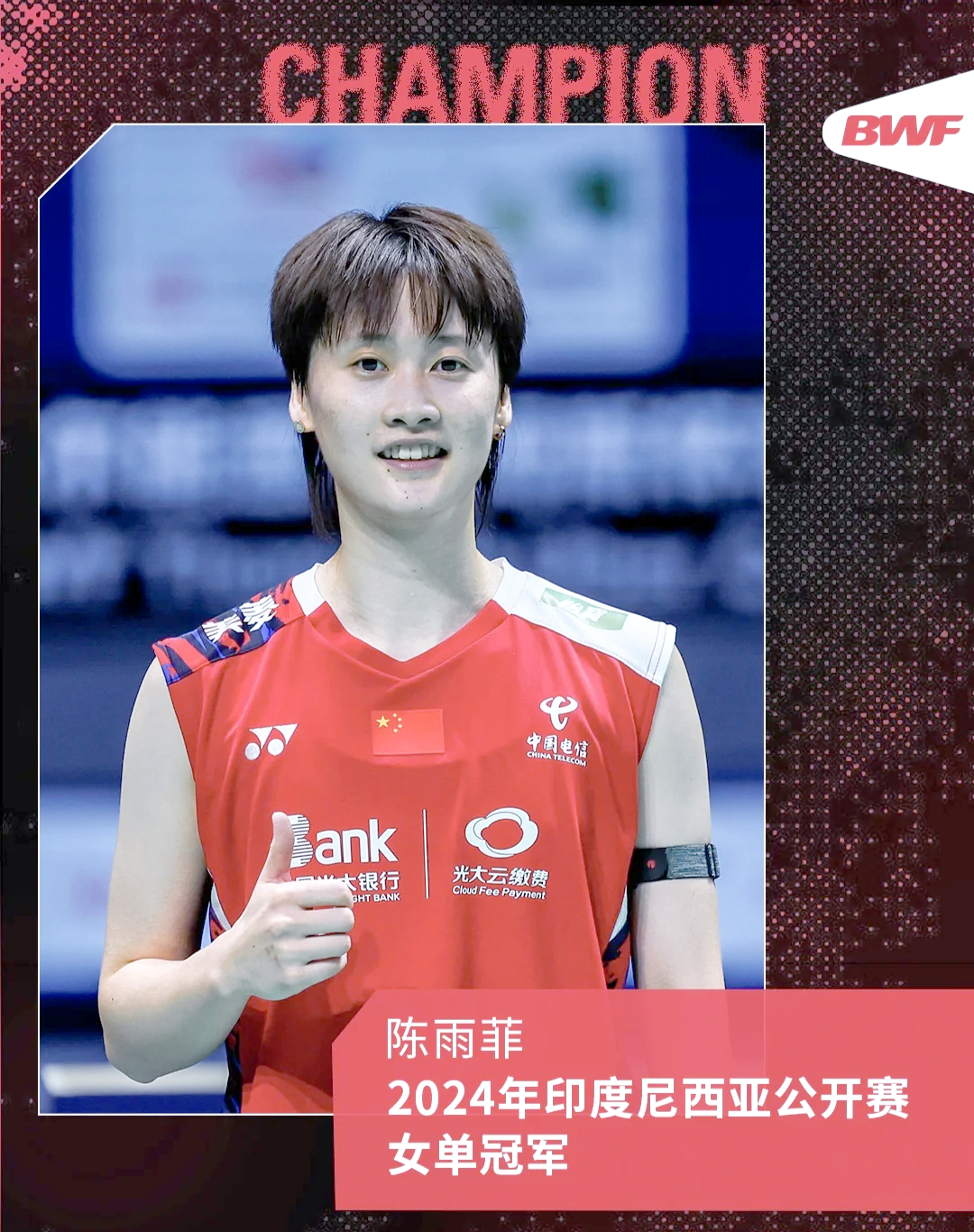 关于印尼羽毛球队险胜丹麦羽毛球队，辛杜惊艳世界的信息