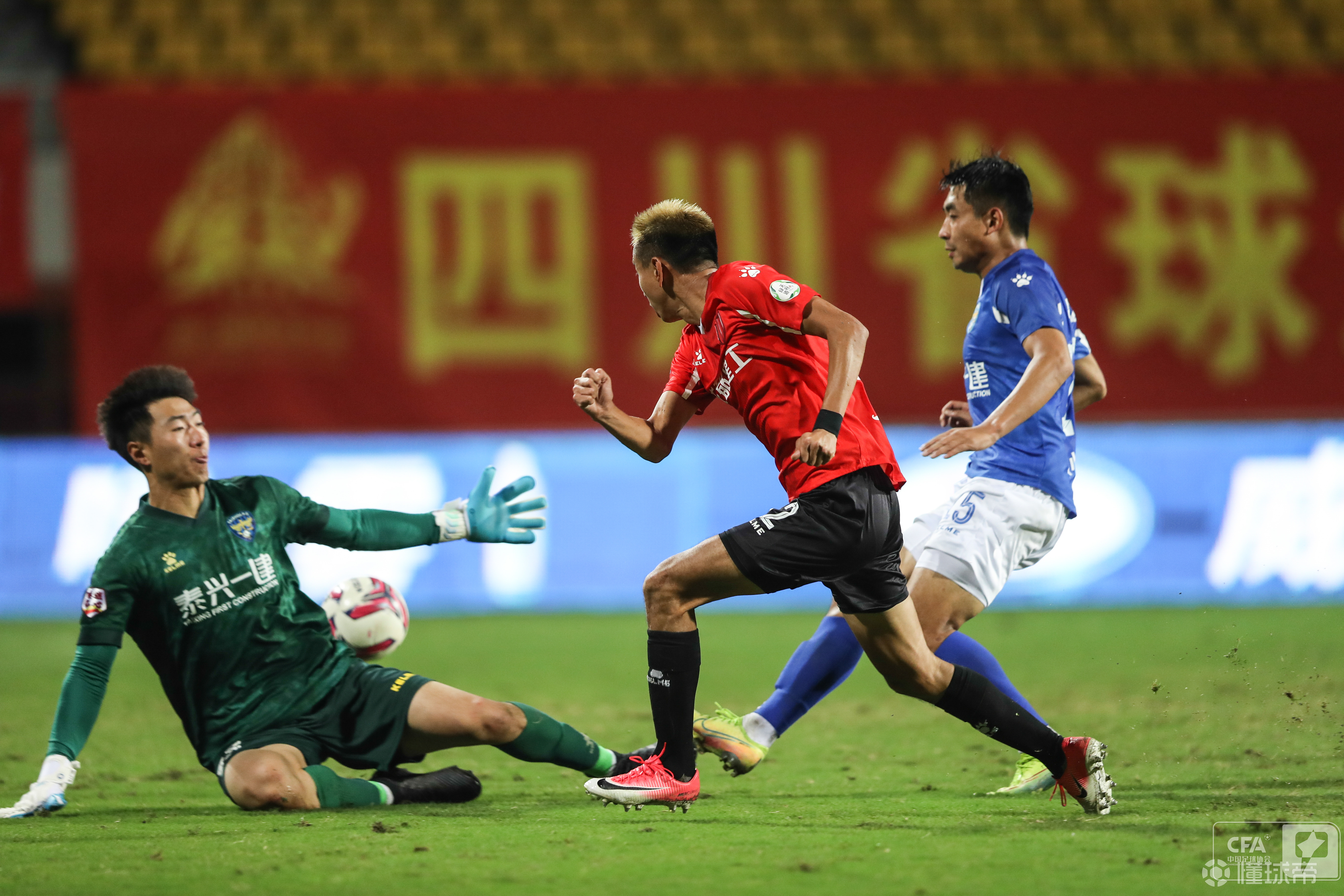 布莱顿主场告捷！力擒对手，全力以赴的简单介绍